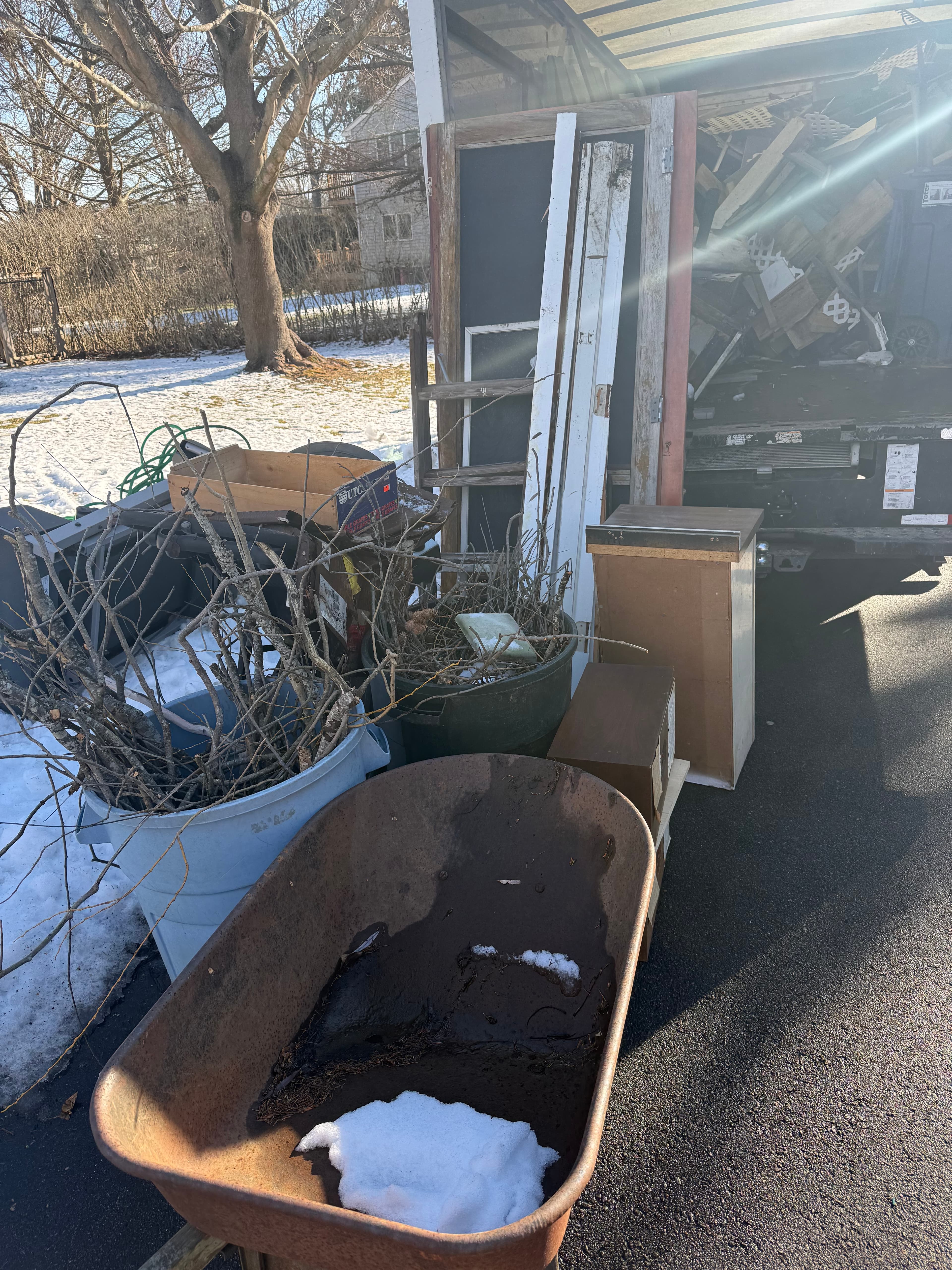 Clark's Junk Removal crew clearing yard waste from a property